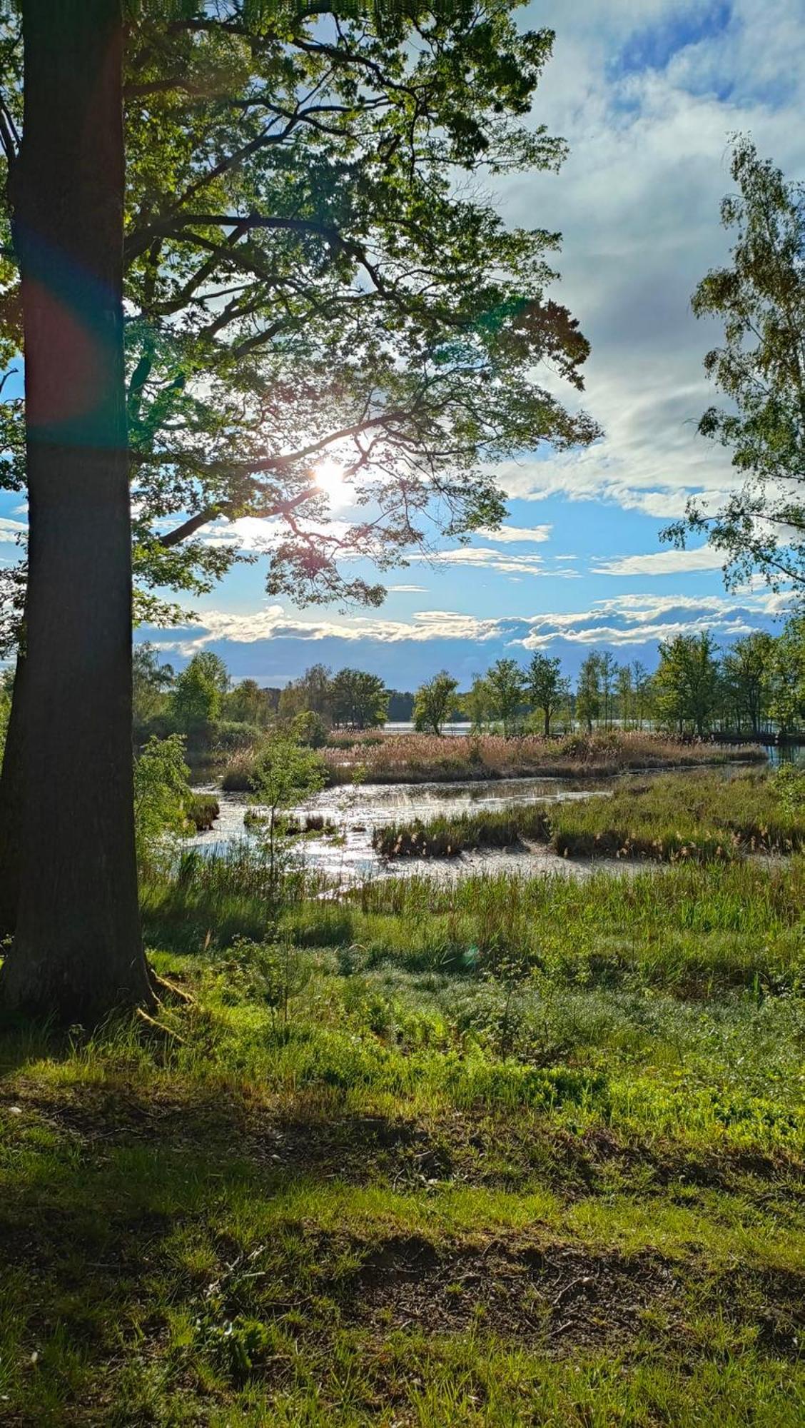 Rekreacni Chata Val Veselí nad Lužnicí Extérieur photo